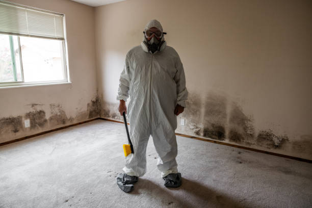 Home Mold Removal in Gore, OK