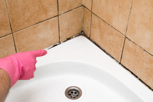 Best Mold Cleaning Services  in Gore, OK